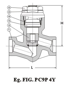 Pressure-seal Piston Check Valve 90Lb~2500Lb 