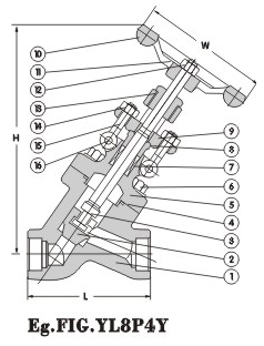 Y-Pattern Globe Valve 800Lb