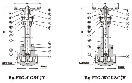 Cryogenic Gate Valve 800Lb