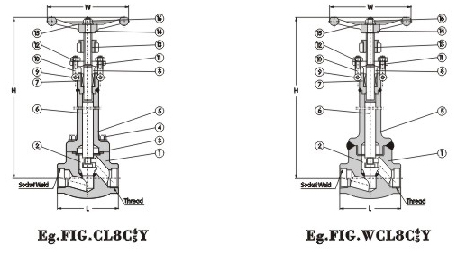 Cryogenic Globe Valve 800Lb