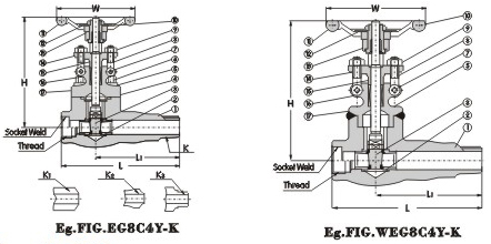 Extended Body Gate Valve 800Lb