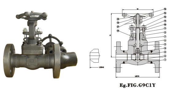 Flanged End Gate Valve 900Lb~1500Lb