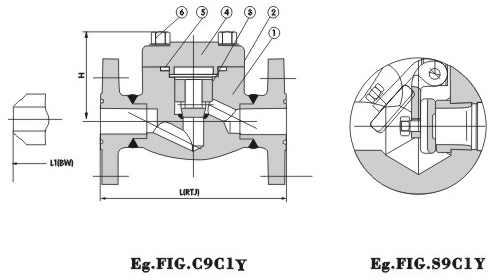 Forged Steel Flange End Check Valve 900~1500Lb