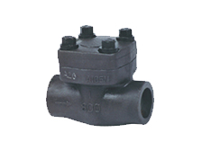 Forged steel swing check valve