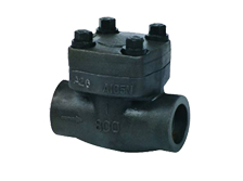 Forged check valve class900-1500