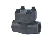 Piston Check Valve(Lift Check Valve)