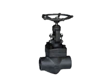 Forged Steel Globe Valve 