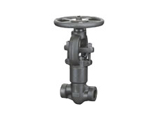 Pressure Seal Globe Valve 900LB-2500LB 