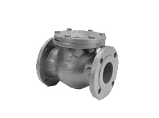 Nickel Iron Body Check Valve Class 125