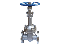 National standard low-temperature flange floodgate valve