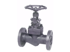 Flange globe valve150-1500LB 