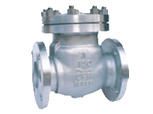 JISANSI Check Valve150-600lb